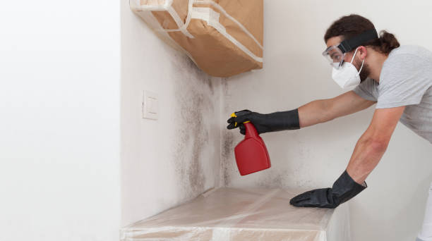 Professional Bathroom Mold Removal technician working in Yorktown, VA