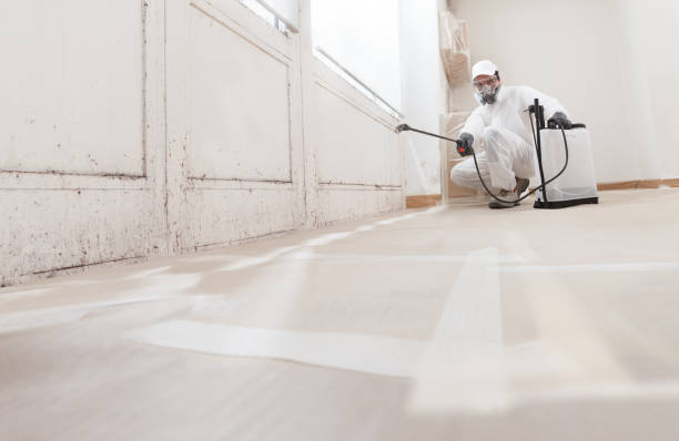 24/7 Emergency Bathroom Mold Removal experts in Yorktown, VA