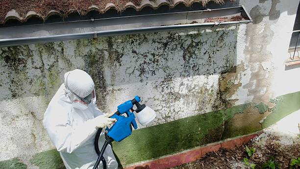 Top rated local Bathroom Mold Removal specialists in Yorktown, VA